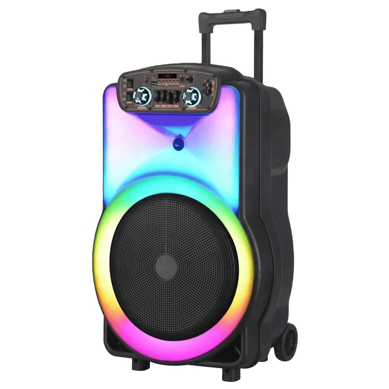 Royal R676 WF-01 avec micro sans fil et lumières RGB