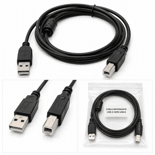 Cable Imprimante USB 2.0 Type A vers Type B – Haute Vitesse