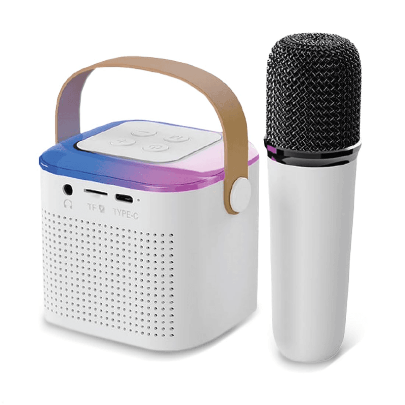 Wireless Karaoke Speaker Set