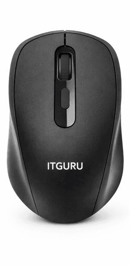 ITGURU Ergonomic Wireless Mouse