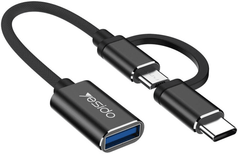 Adaptateur OTG 2-en-1 USB vers Micro Type-C